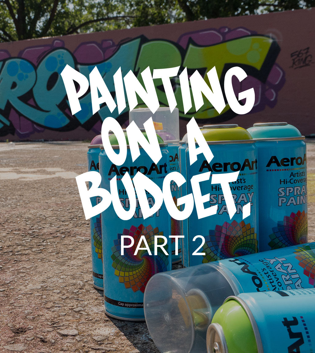 VIDEO - PAINTING ON A BUDGET part 2