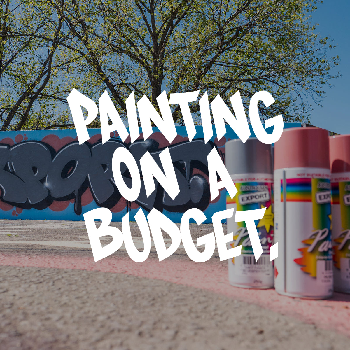 VIDEO - PAINTING ON A BUDGET