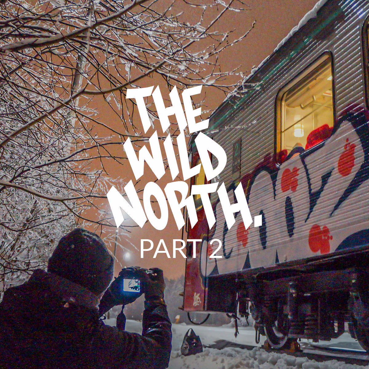 VIDEO - THE WILD NORTH 2