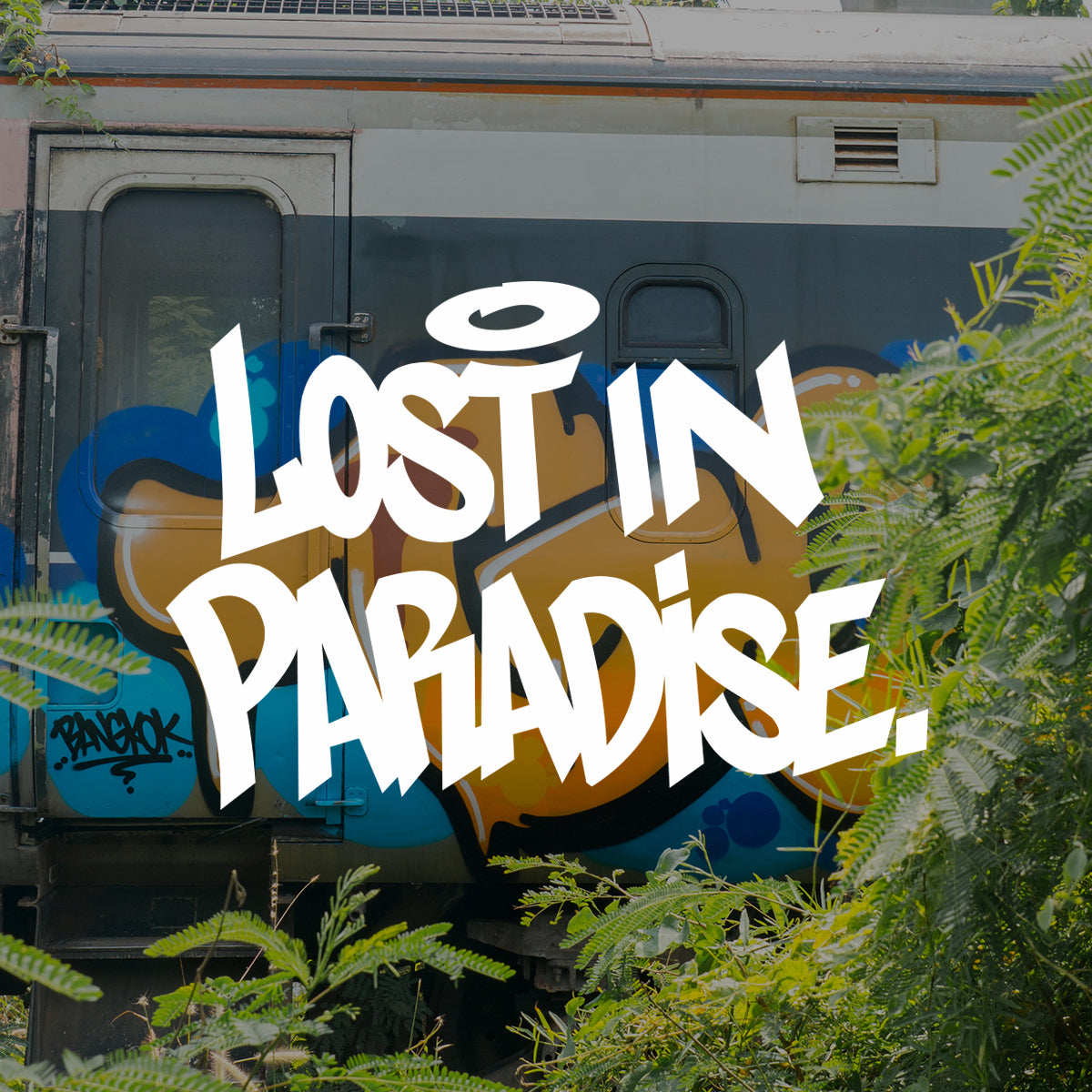 VIDEO - Lost In Paradise..