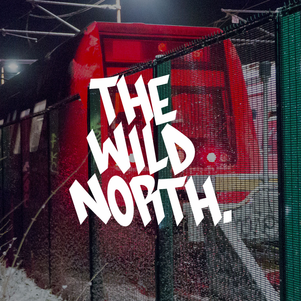 VIDEO - The Wild North