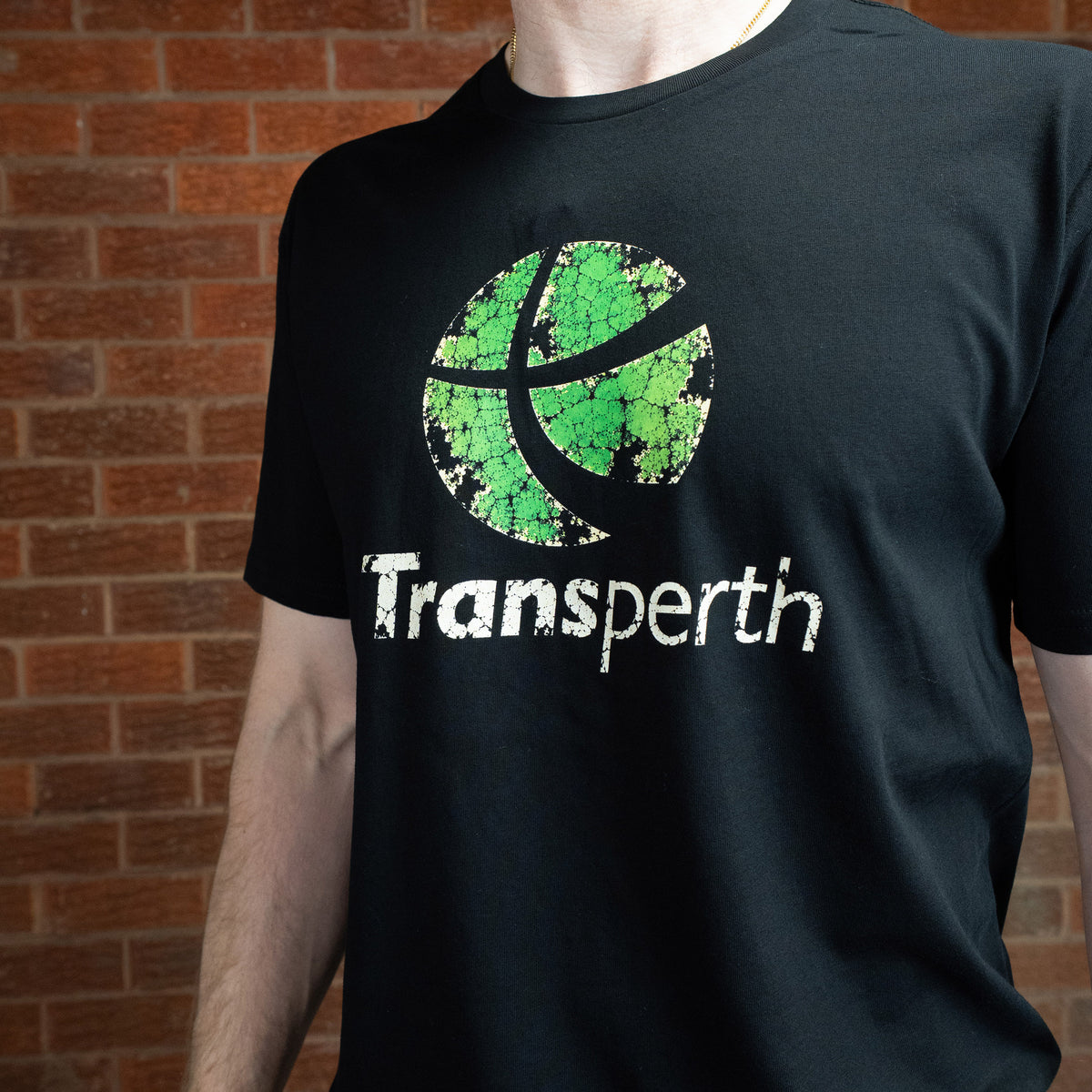 Vintage Rail Perth Tee