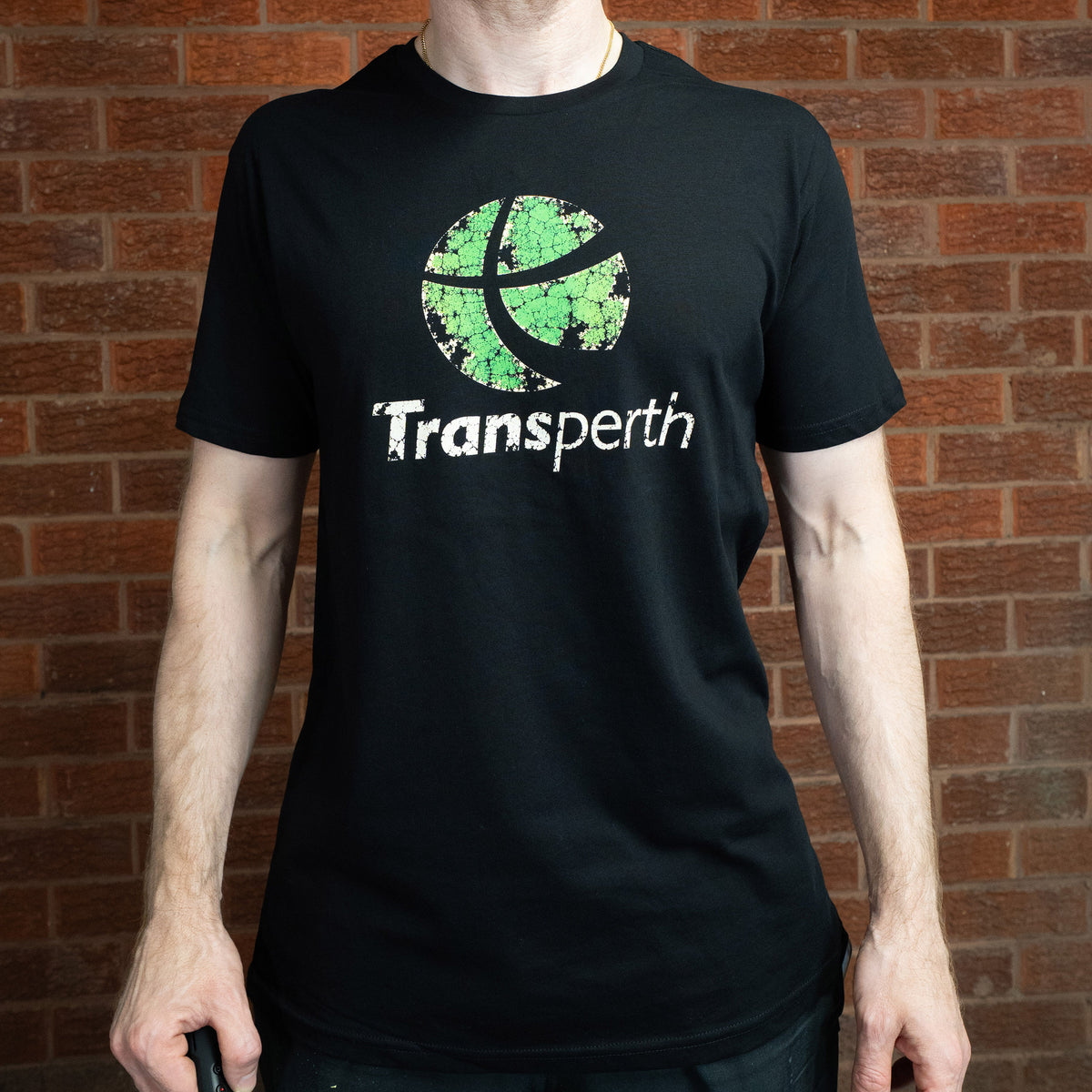 Vintage Rail Perth Tee