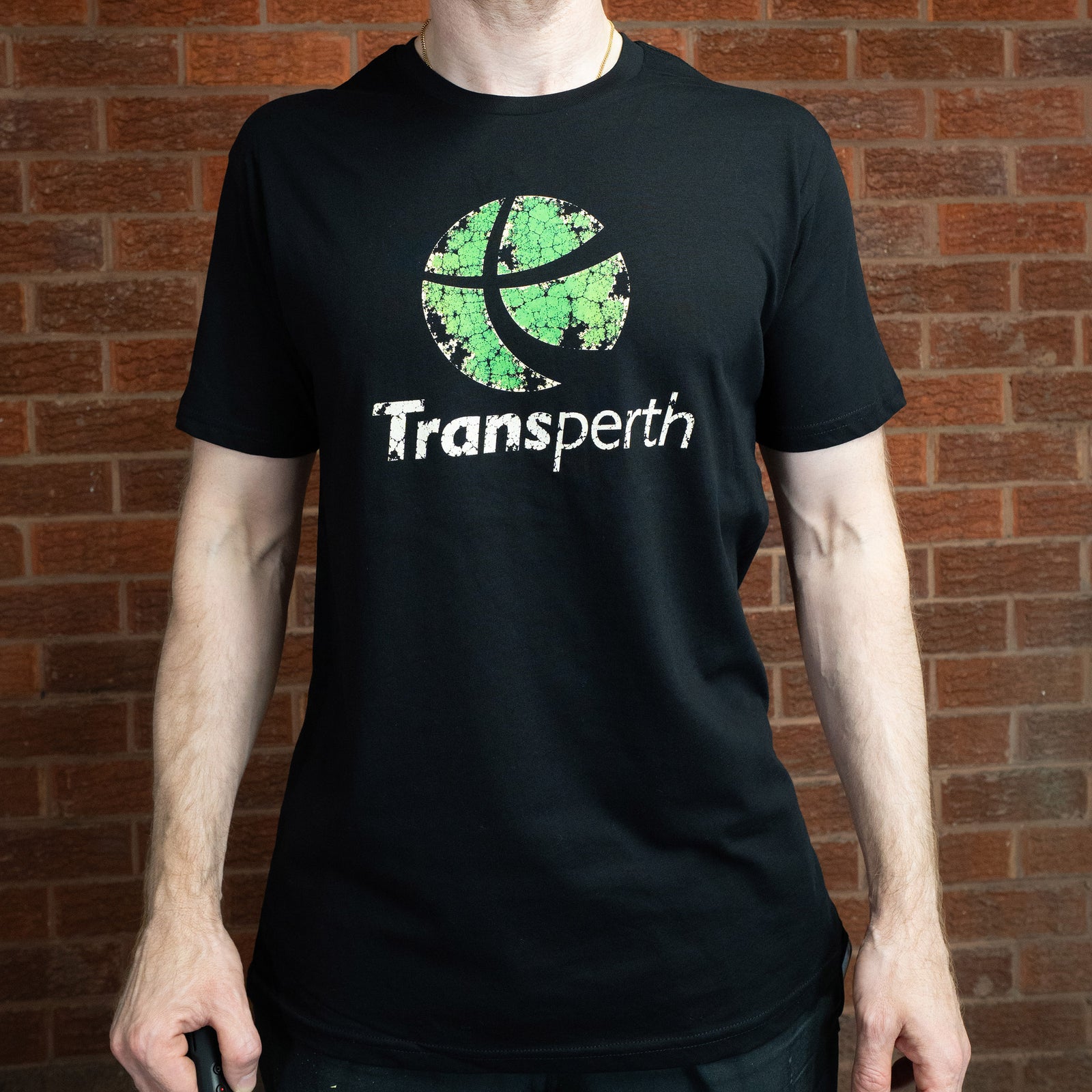 Vintage Rail Perth Tee